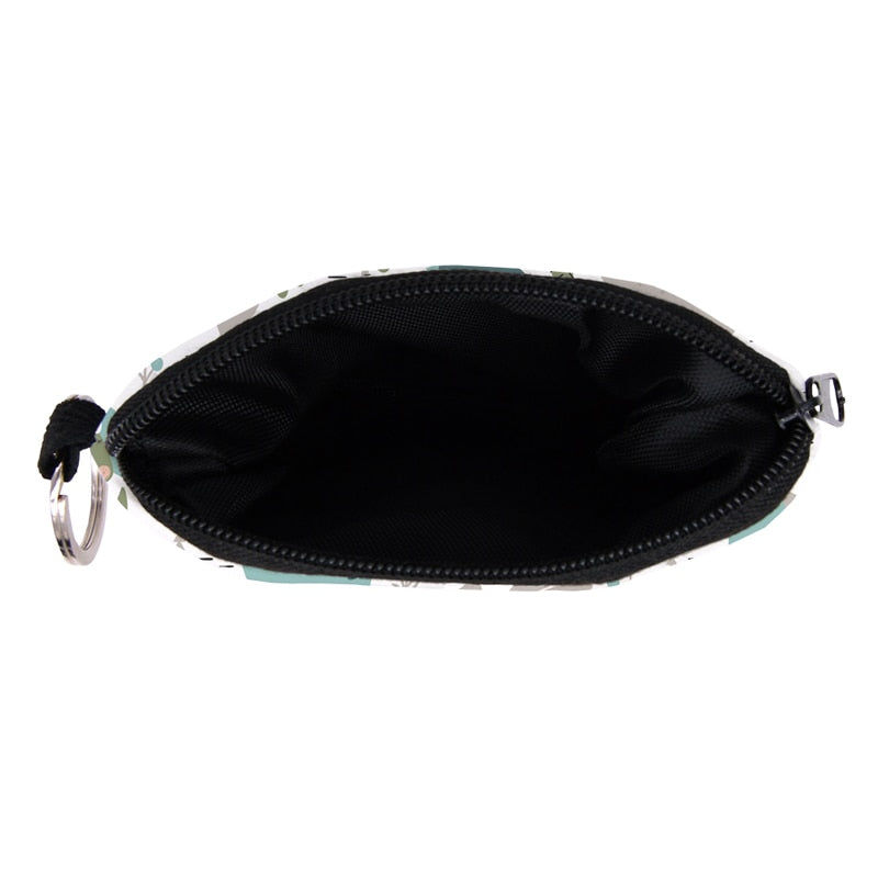 Dinosaur Pouch